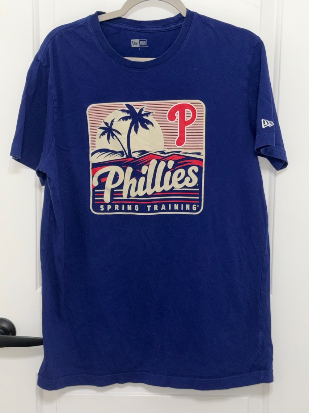 New Era MLB Philadelphia Phillies Spring Training Graphic T-Shirt Large Blue